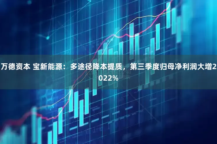 万德资本 宝新能源：多途径降本提质，第三季度归母净利润大增2022%